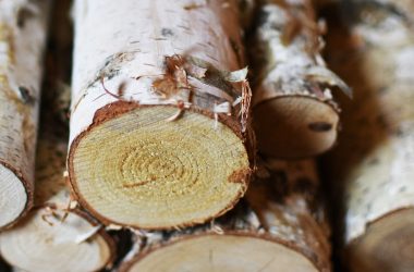Image of stacked birch logs for a blog post about the best smelling firewood for a fire pit.