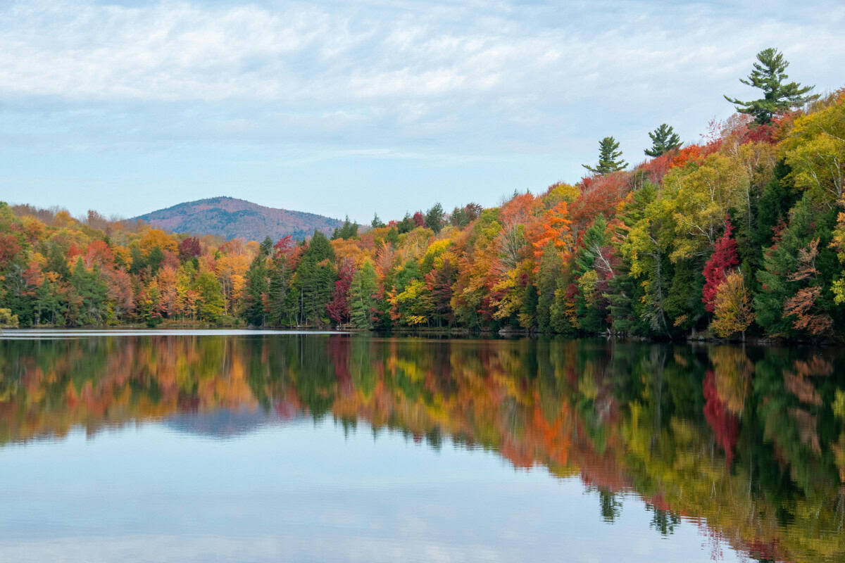 us-firewood-prices-regional Image of a Vermont forest lake in fall.