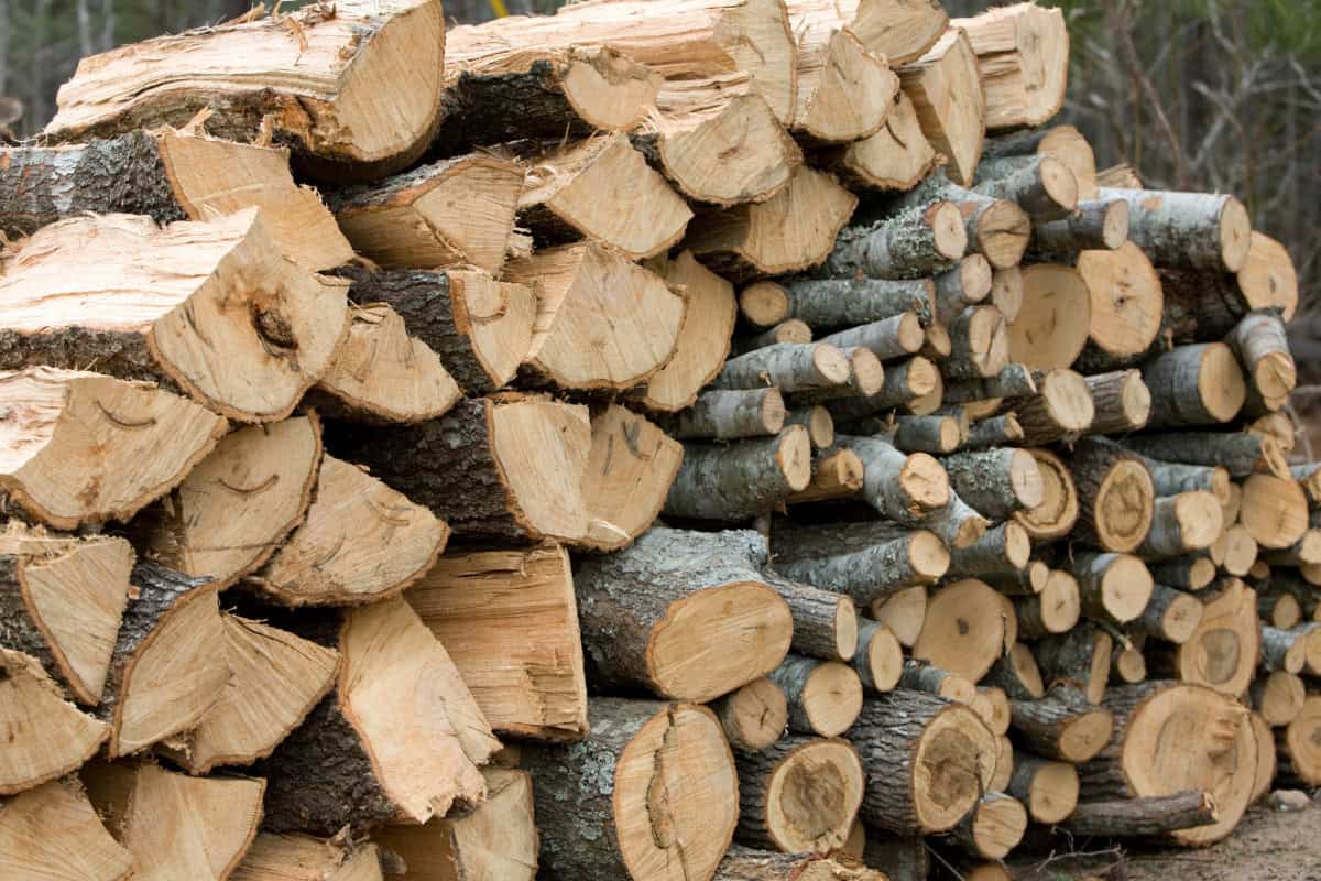 rick-of-firewood-considerations Image of a stack of slit and unsplit firewood for a blog post answering the question, "what is a rick of firewood?'