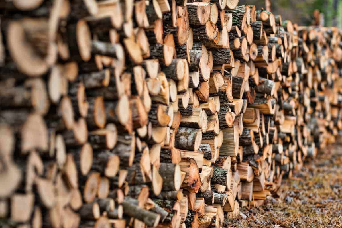 how-to-stack-firewood-main Image of a very long line of stacked firewood.