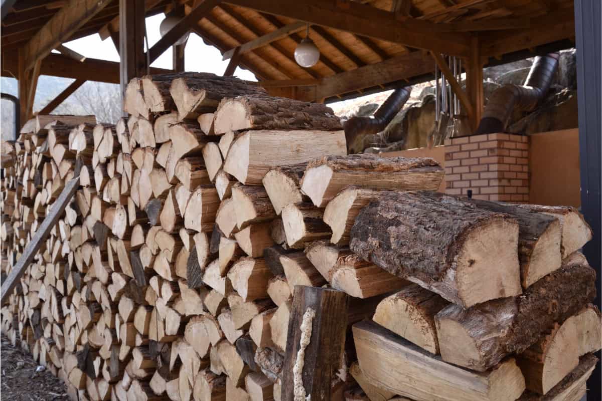 Choosing the Right Wood Species Image of stacked firewood under a roofed storage area.
