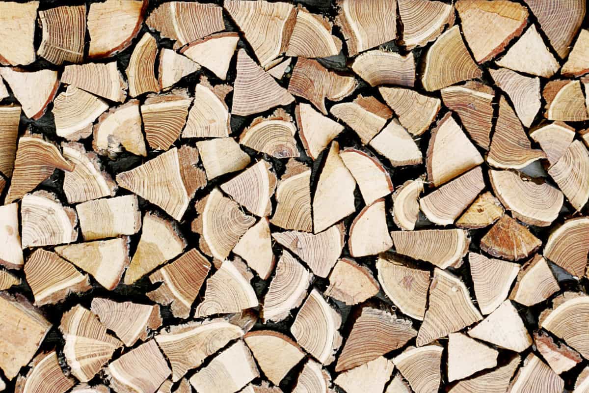 Best Low Smoke Firewood for Solo Stoves Best Low Smoke Firewood for Solo Stoves