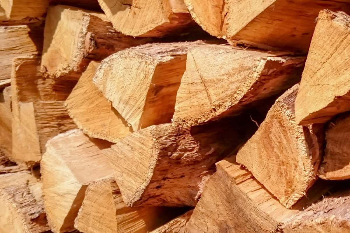 smokeless-fire-pit-advantages-environmental Image of well-seasoned fire pit firewood for an article covering smokeless fire pit advantages.