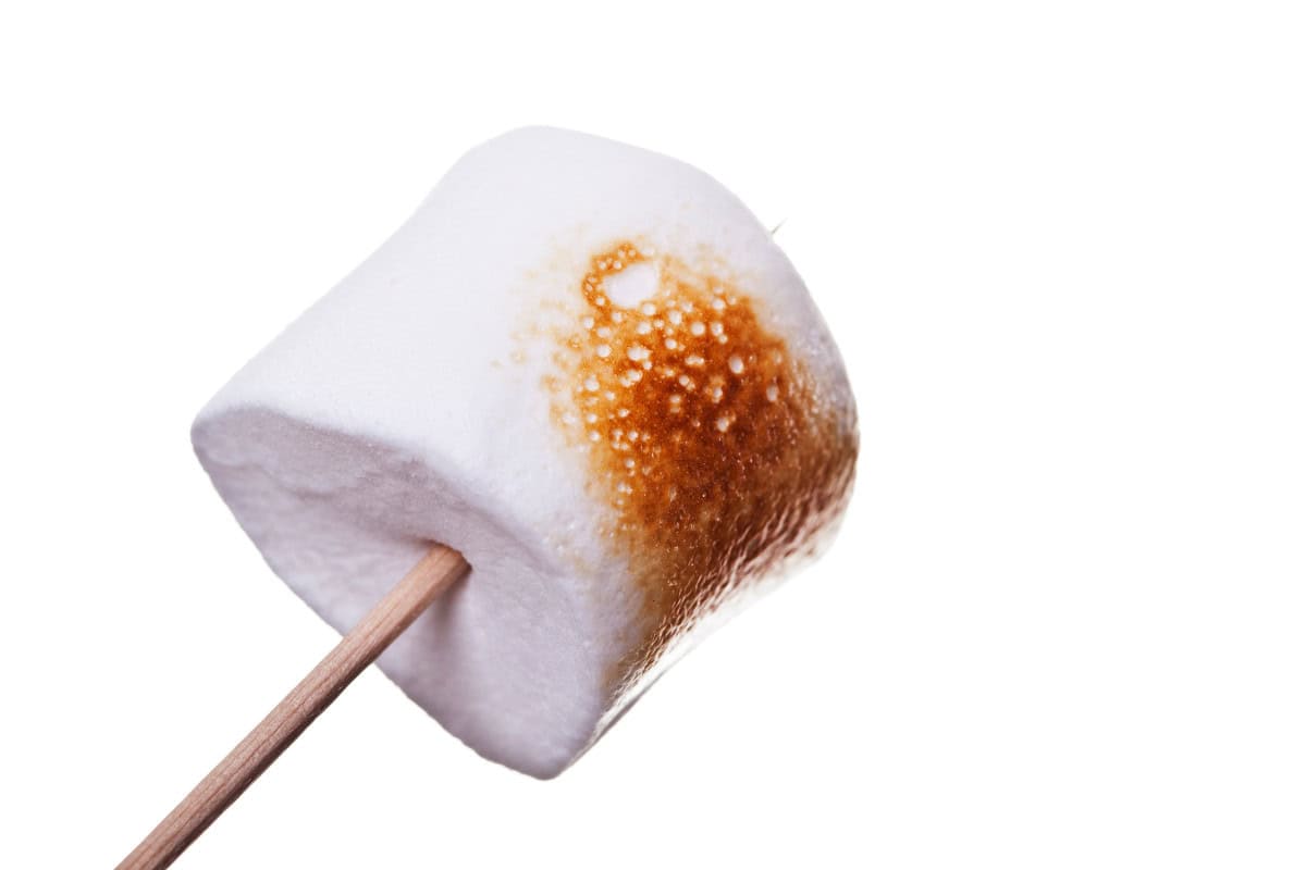 marshmallows-over-a-gas-fire-pit--technique Image of a perfectly roasted marshmallow.