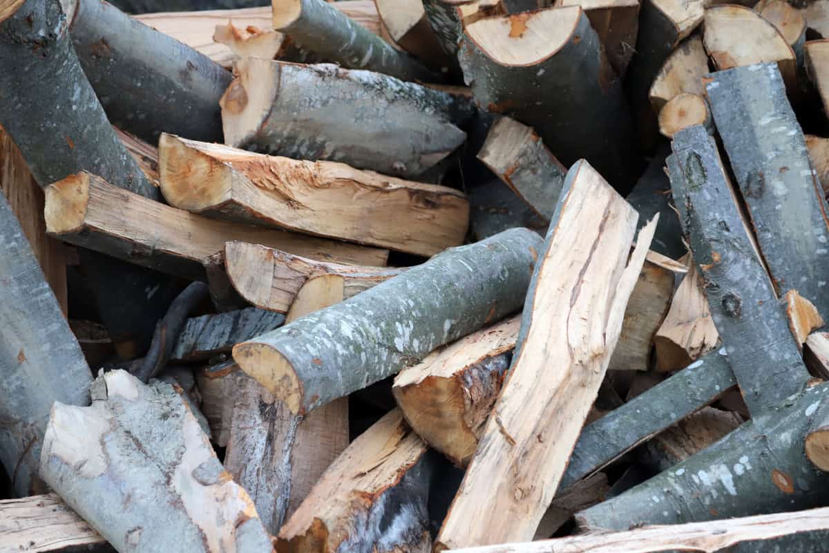 reduce-fire-pit-smoke-how Image of pile of freshly chopped beech.
