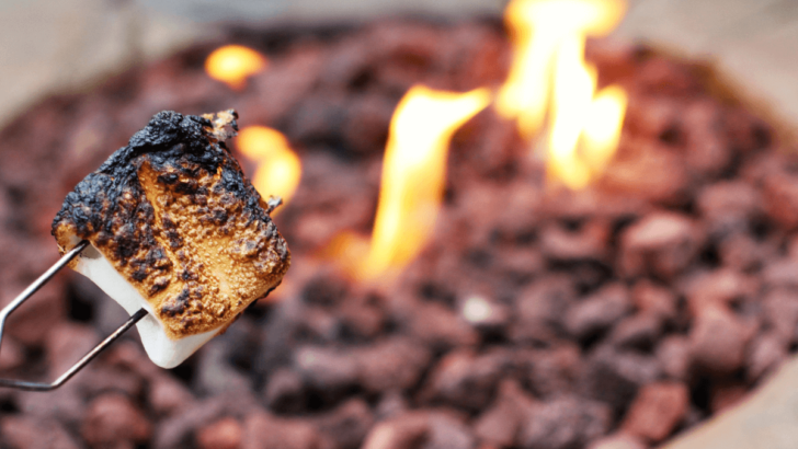 Image of a well roasted marshmallow in front of a propane fire pit