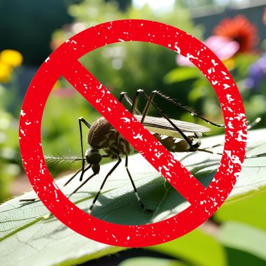 Image of a mosquito on a leaf for a blog post answering the question, "do fire pits repel mosquitoes?"