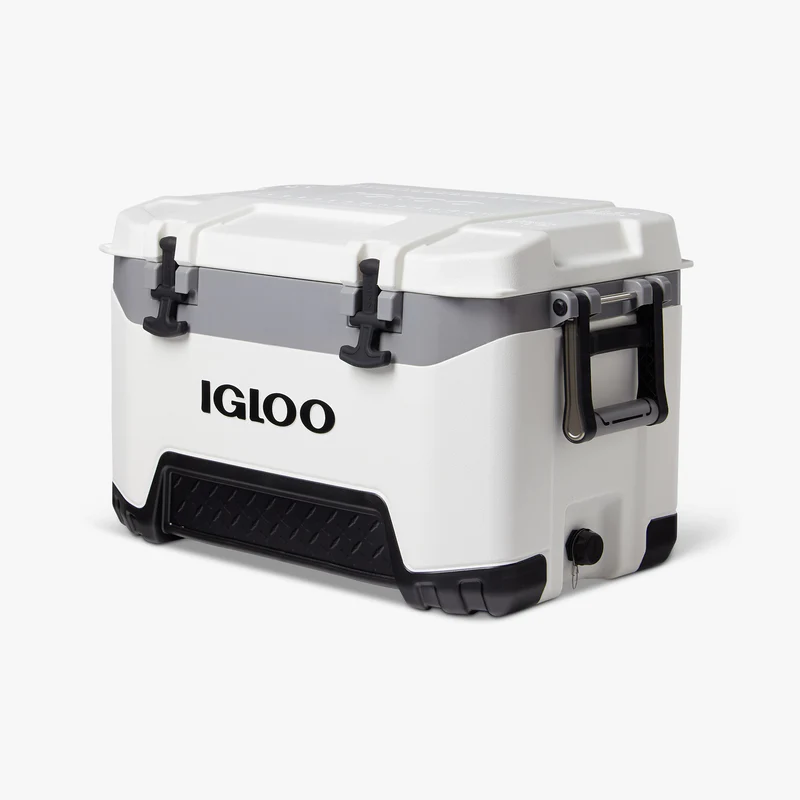 Image of and Igloo cooler, a must have fire pit accessory