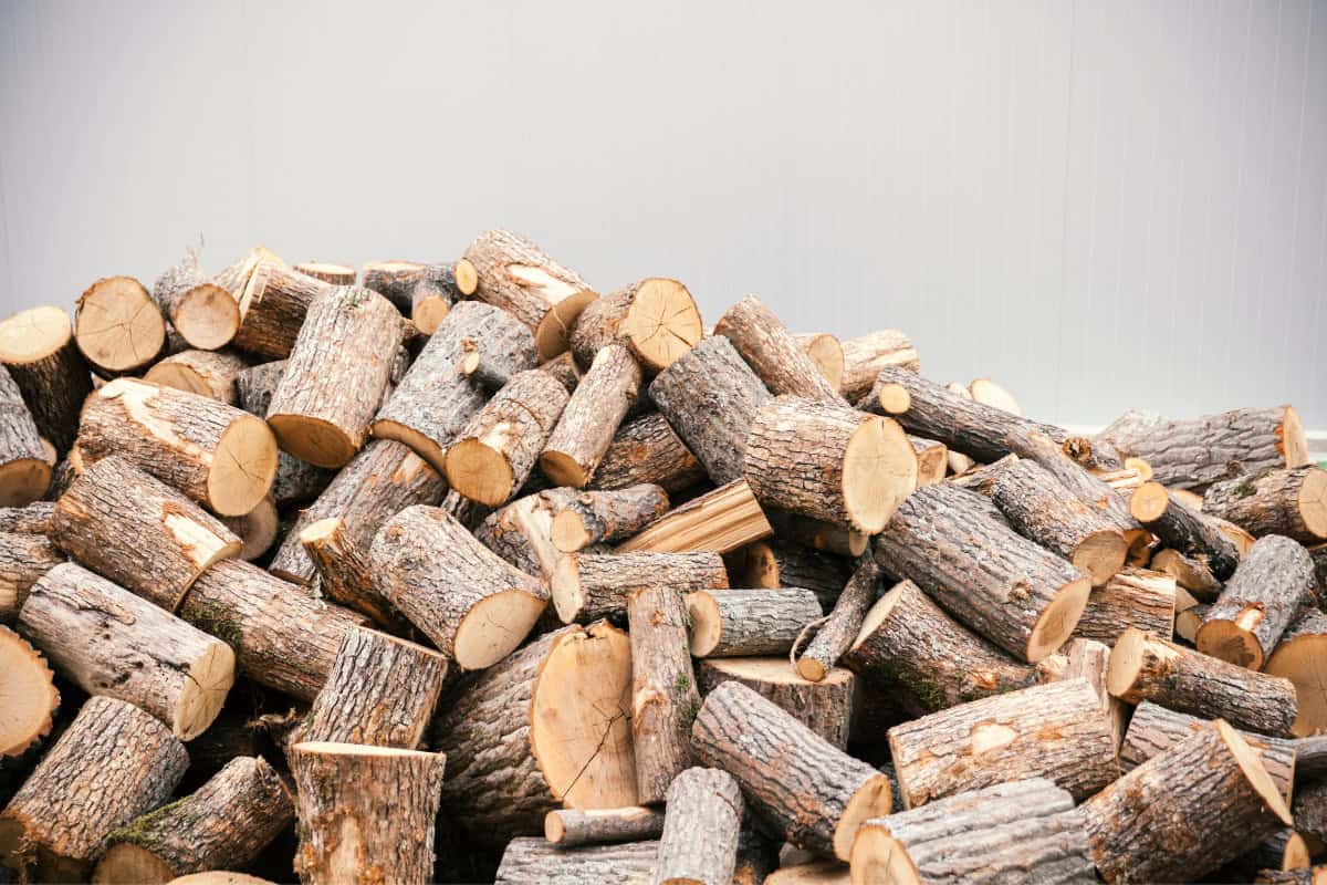 solo-stove-smoking-unseasoned-firewood Image of freshly cut unseasoned firewood for an article about Solo Stove smoking.