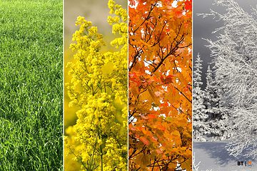 Image of the seasons in nature