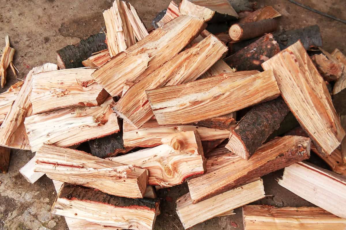 what-is-green-firewood-definition Image of freshly split green fire wood waiting to be stacked.