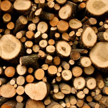 Image of freshly cut green firewood, large and small.