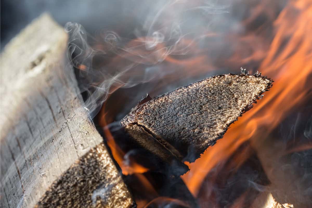what-is-green-firewood-impact Image of smoking green firewood.