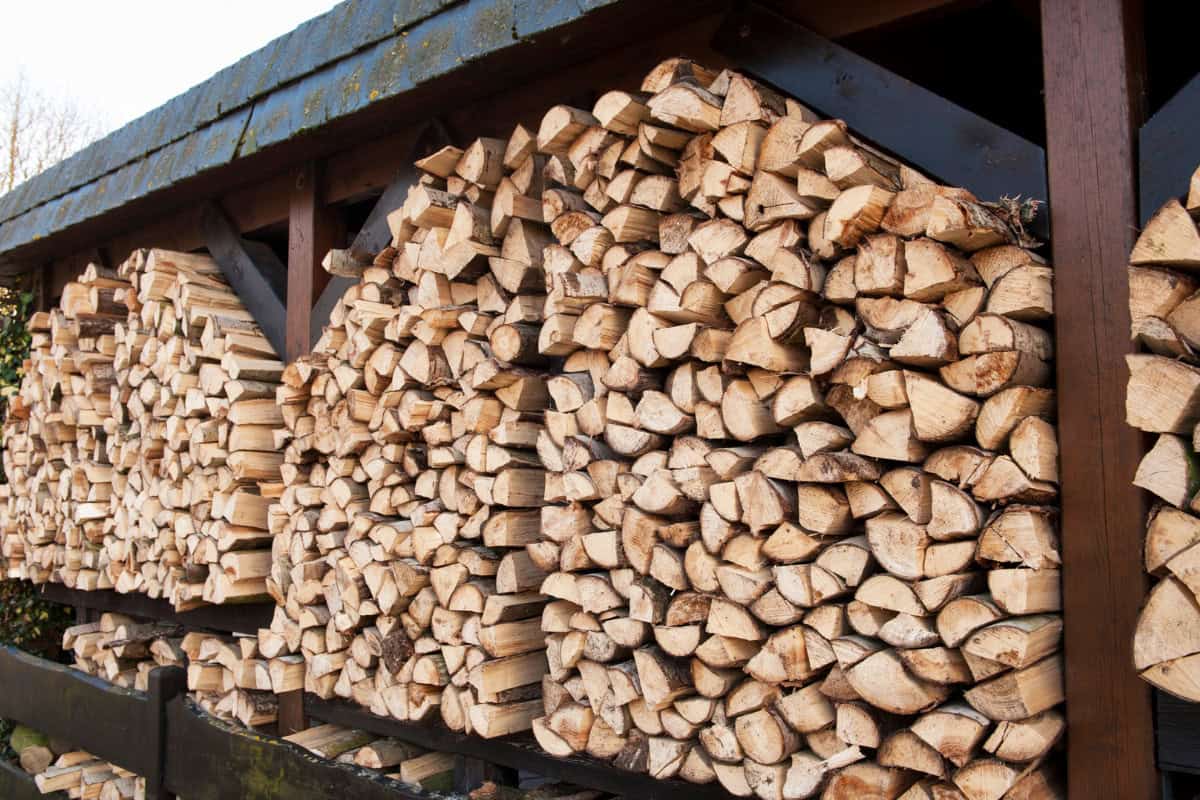 what-is-green-firewood-tips Image of split beech seasoning under cover.