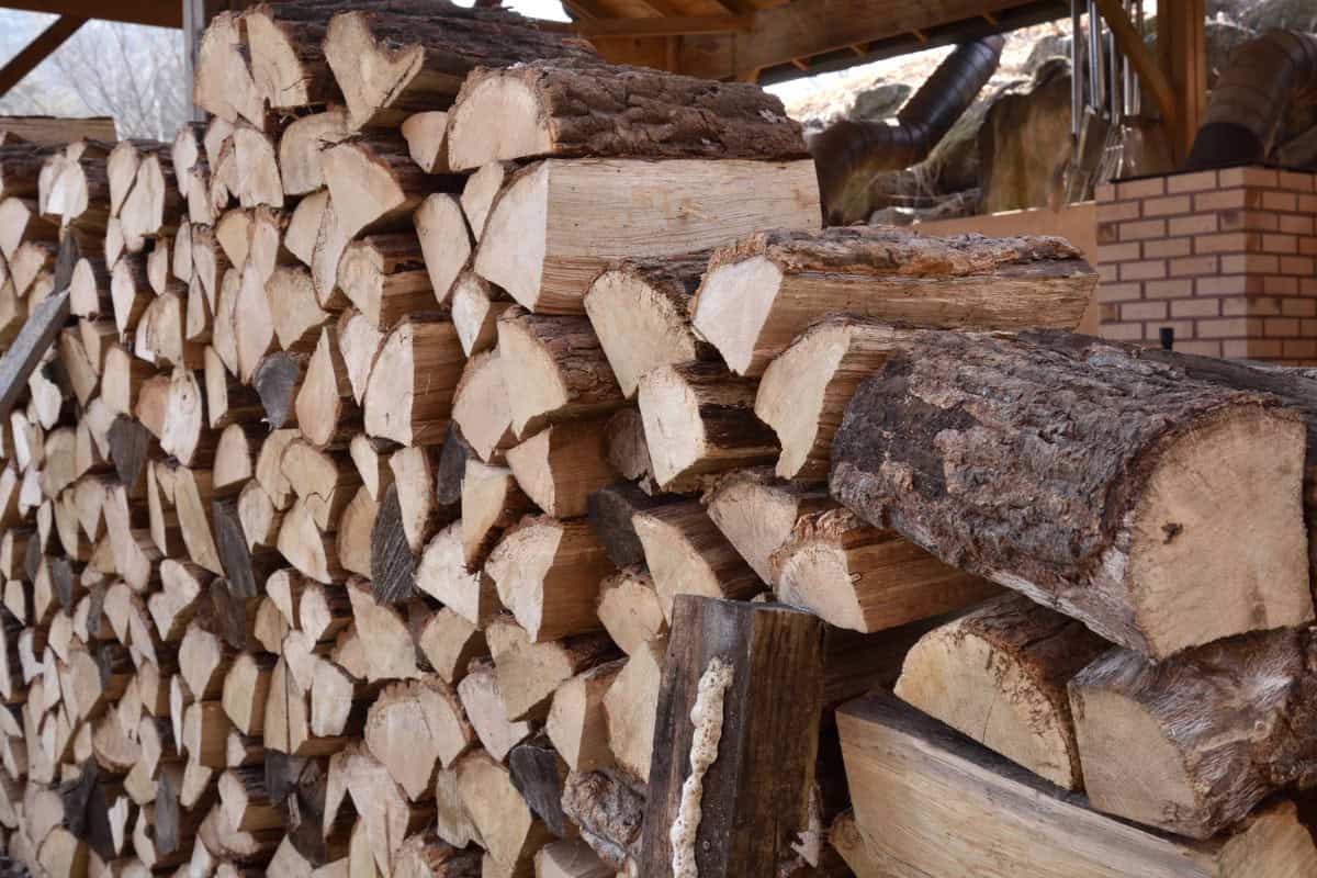 fire-pit-firewood-buyers-guide-best Image of split white oak firewood stacked.
