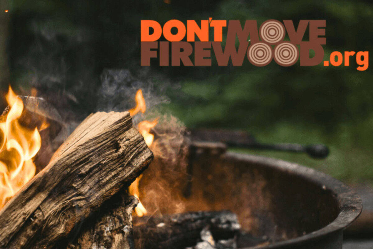 fire-pit-firewood-buyers-guide-practices Image of an ad for eco-friendly firewood advocacy.