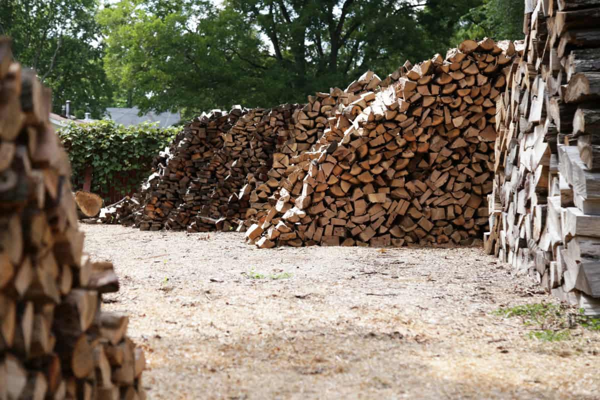 fire-pit-firewood-buyers-guide-understand Image of several stacks of split firewood in a large yard.