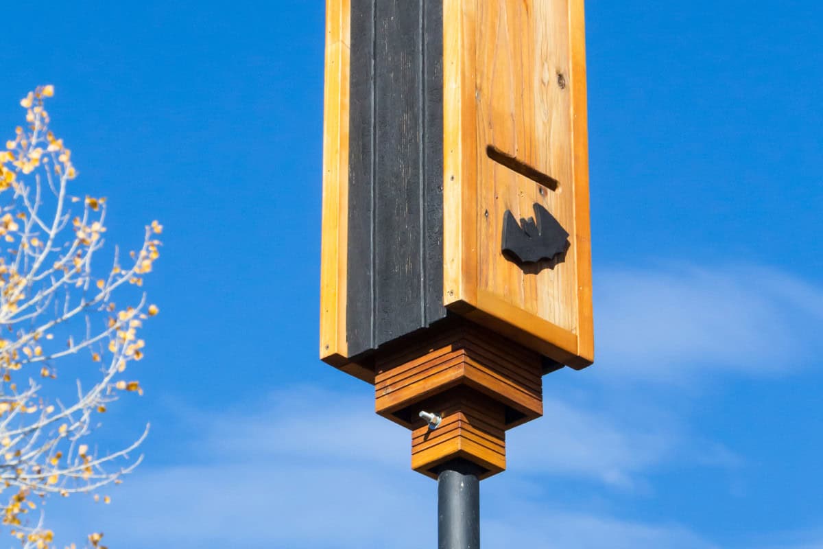 bat-house-to-keep-mosquitoes-away-set-up Image of a bat box on top of a pole.