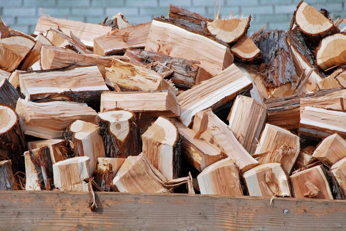 best-smelling-firewood-for-fire-pits-guide Image of a a pile of chopped firewood in the back of a delivery truck.