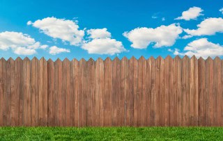 featured-product reviews-1