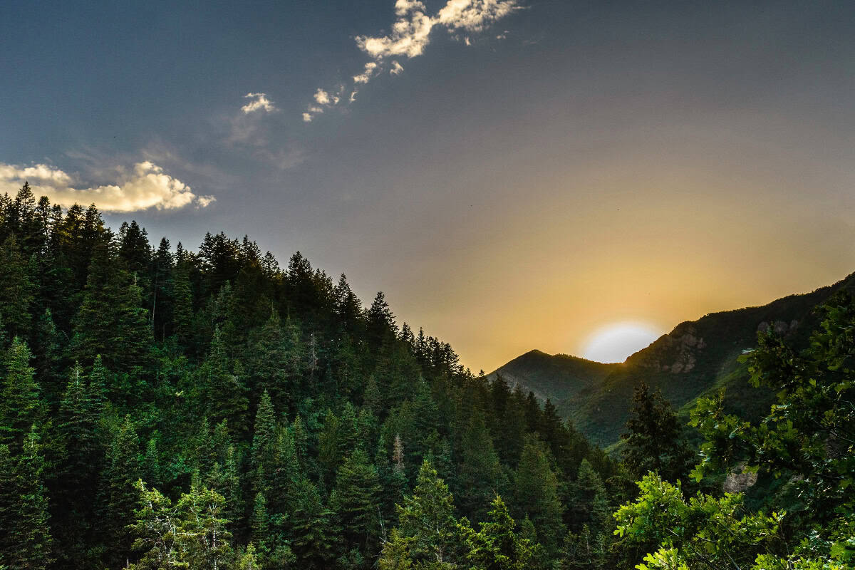 us-firewood-prices-seasonal Image of a New England sunrise over mountains and a forest.