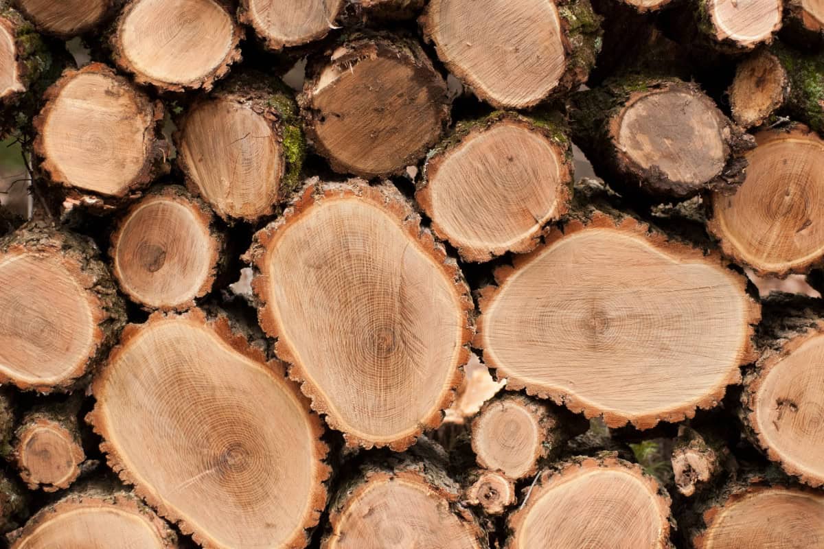 what-are-hardwoods-answer Image of a hardwood rounds stacked.