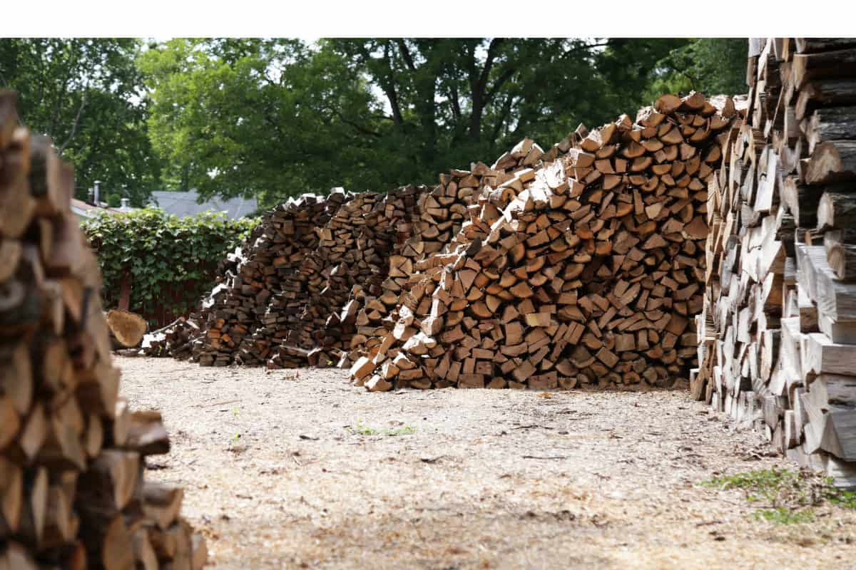 Image of numerous stacks of split firewood in a firewood vendor yard for a blog post covering Canadian firewood prices.